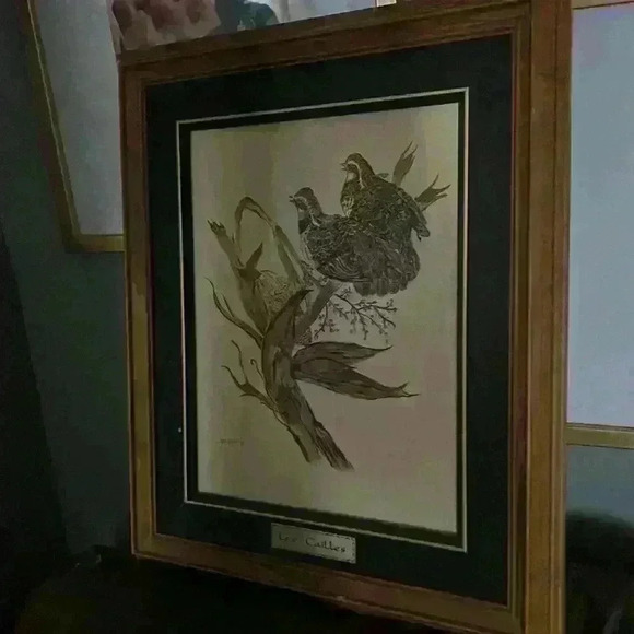 Original Oil Painting. Framed and signed with  plaque.🦤🐦 - Picture 1 of 4